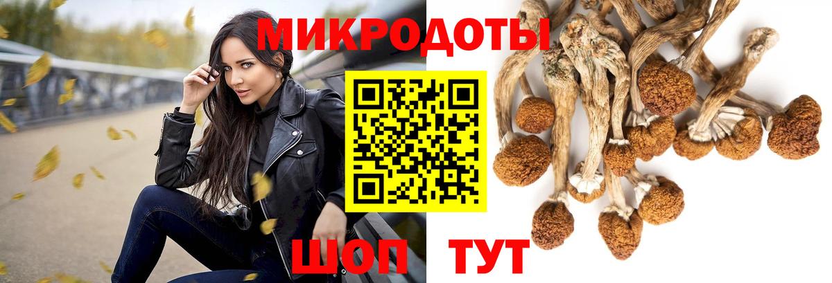 Курган  Галлюциногенные грибы прущие грибы  Вход с VPN  Псилоцибиновые грибы Magic Shrooms 